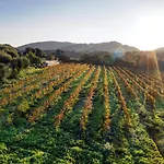 Domaine De Peretti Della Rocca 4*