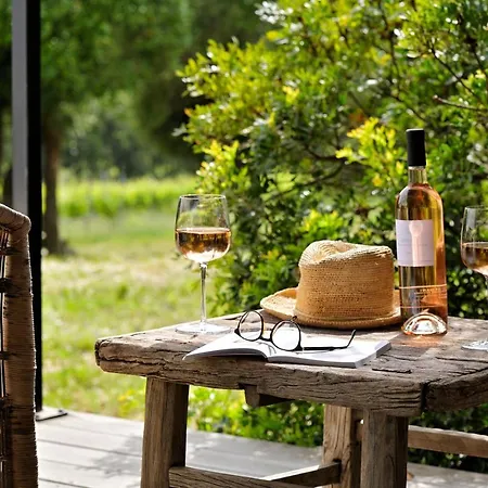 酒店 Domaine De Peretti Della Rocca 菲加里