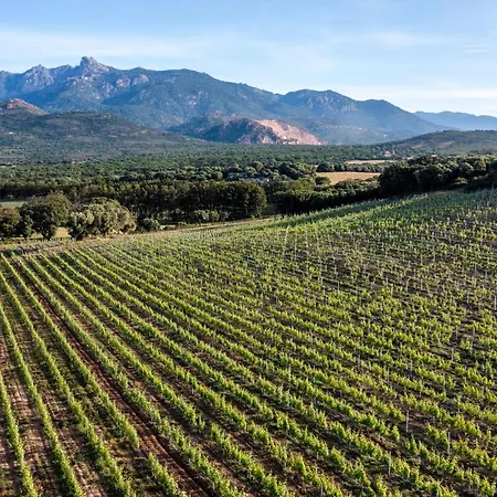 Domaine De Peretti Della Rocca 4* 菲加里