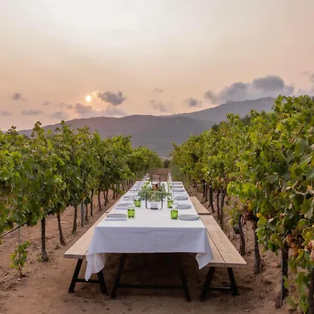 Domaine De Peretti Della Rocca Figari (Corsica)