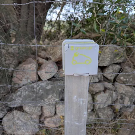 Domaine De Peretti Della Rocca Фигари