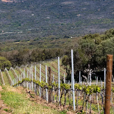 Domaine De Peretti Della Rocca Hotel 4*