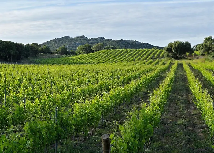 Domaine De Peretti Della Rocca Отель Фигари