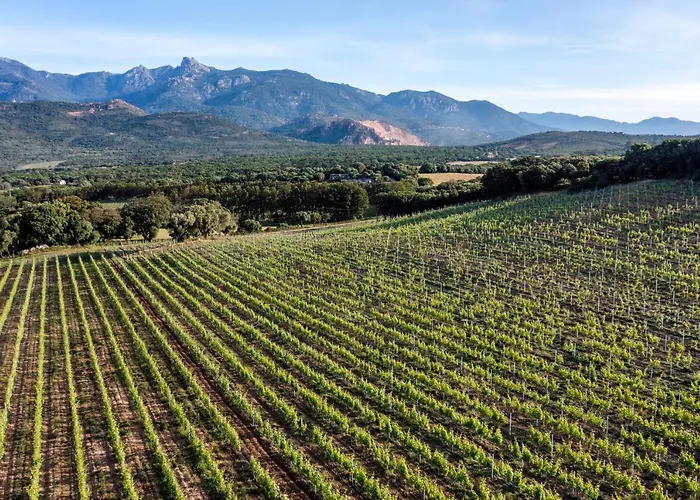 Domaine De Peretti Della Rocca 4* Фигари