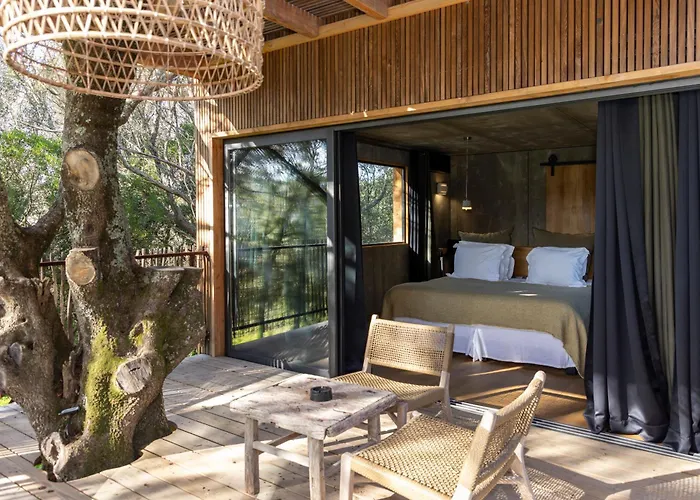 Domaine De Peretti Della Rocca