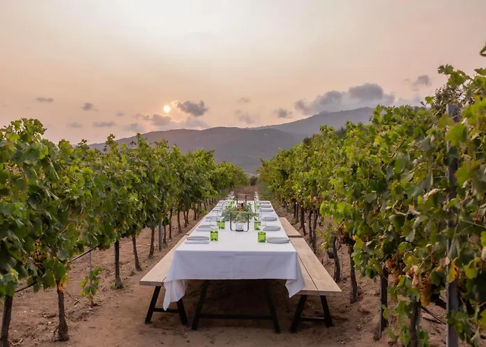 Domaine De Peretti Della Rocca Figari (Corsica)