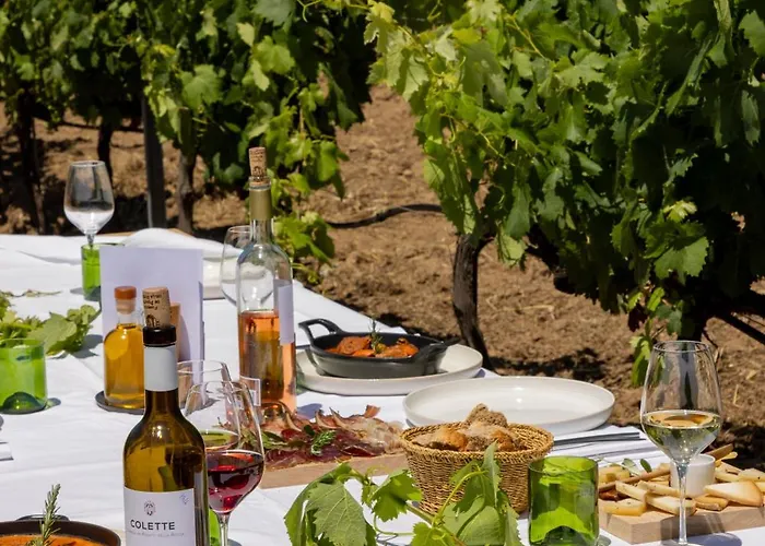 Отель Domaine De Peretti Della Rocca 4*