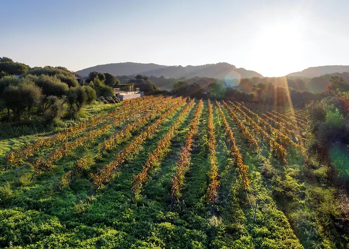 Domaine De Peretti Della Rocca 4*