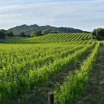 Domaine De Peretti Della Rocca Hotel Figari (Corsica)