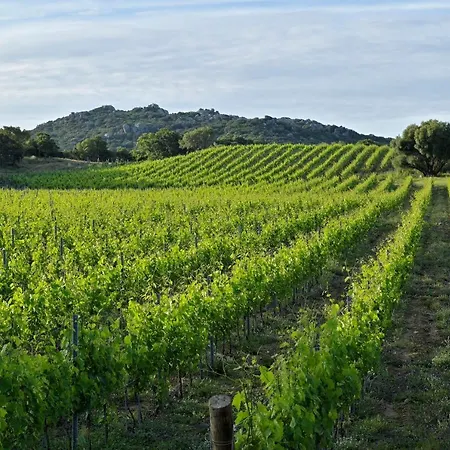Domaine De Peretti Della Rocca מלון פיגארי