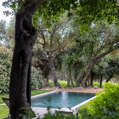 Domaine De Peretti Della Rocca 4*