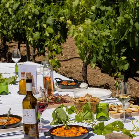 מלון Domaine De Peretti Della Rocca 4*