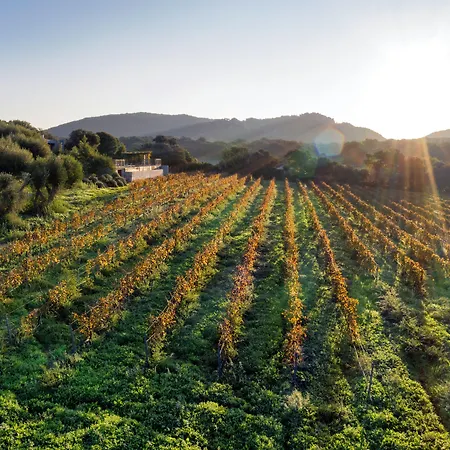 Domaine De Peretti Della Rocca 4*