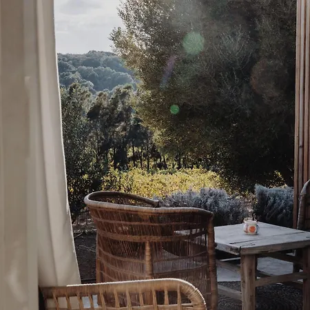 Domaine De Peretti Della Rocca Figari (Corsica)