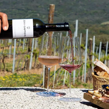 Domaine De Peretti Della Rocca מלון 4*