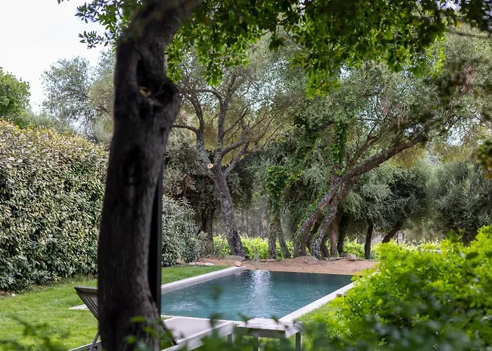 Domaine De Peretti Della Rocca 4*