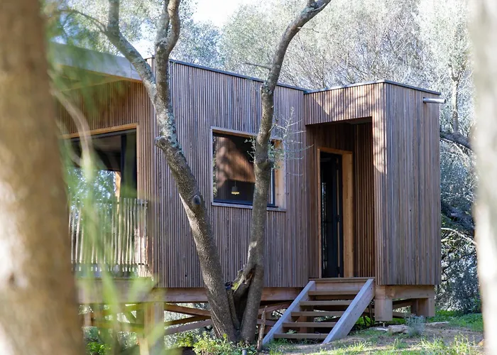 Domaine De Peretti Della Rocca