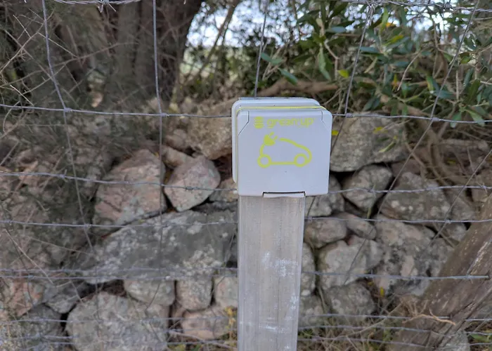 Domaine De Peretti Della Rocca Figari (Corsica)